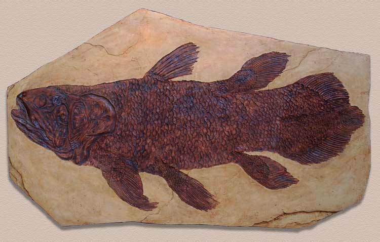 V3 Coelacanth